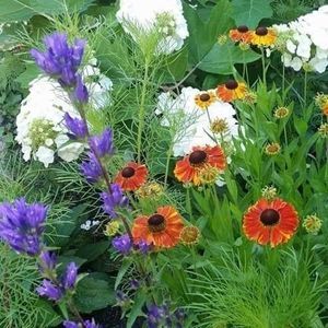 Meet your Posher, Sue